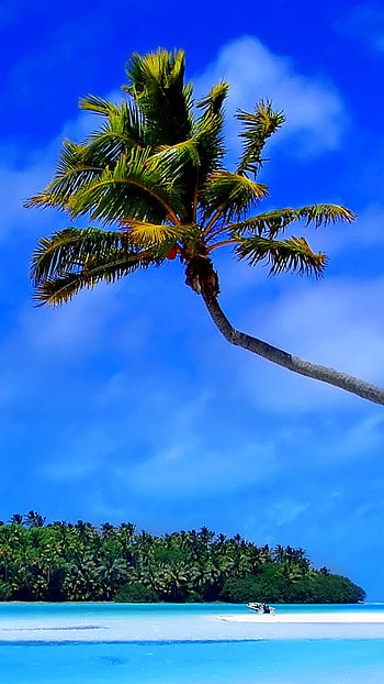 Caribbean Islands , Posted by Michelle Walker HD phone wallpaper