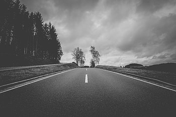 Road, Nature, Trees, Asphalt, Bw, Chb, Hill HD wallpaper