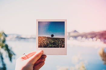A hand holds a Polaroid against a blurred, sunlit summer landscape, creating a beautiful contrast. HD wallpaper