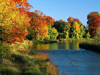 Nature, Rivers, Trees, Autumn, Canada, Shore, Flow, Shores, Ontario HD wallpaper