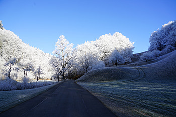 Hill Frost Road Trees , road, trees, nature HD wallpaper