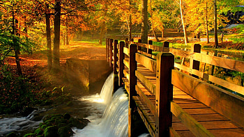 Autumn Park, trees, cascades, river, bridge HD wallpaper
