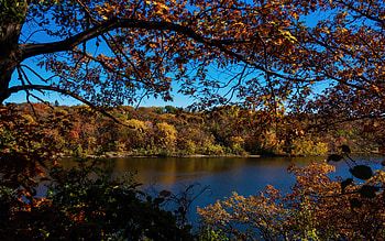 Mississippi River in fall, autumn, trees, leaves, usa, landscape HD wallpaper