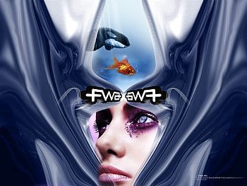 Sheer Beauty, face, orca, fish, woman HD wallpaper