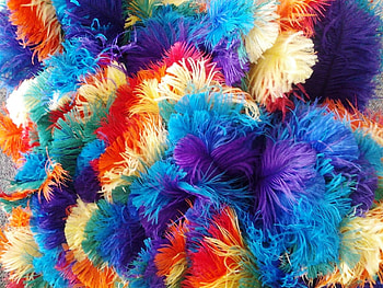 Colorful feathers, blue, colorful, fluffy, orange, purple, feather, rainbow, yellow, red, texture HD wallpaper