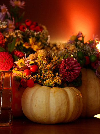 Pumpkin and Flowers, Thanksgiving HD phone wallpaper