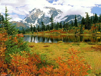 Nature, Trees, Autumn, Lake, Shine, Light, Dahl, Distance HD wallpaper