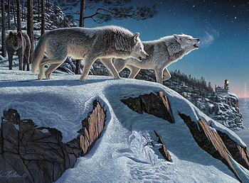 Moonlight Prowlers, winter, night, lighthouse, snow, wolf HD wallpaper