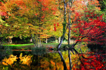 I'll be there, colorful, fall, colors, beautiful, serenity, tranquil, lake, park, reflection, trees, autumn, forest, pond HD wallpaper
