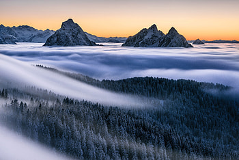 Clouds, mist, foggy day, tree, dawn, sunrise, nature HD wallpaper