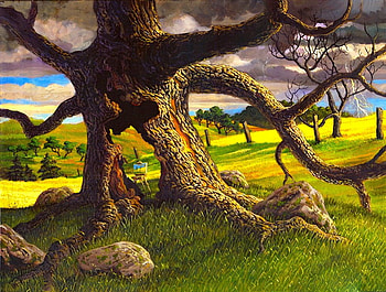 Old outdoor tree, colorful, color, landscape, beautiful, tree, outdoor, old, green, fields, splendor HD wallpaper