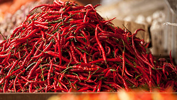 Chile de arbol, Chili Pepper HD wallpaper