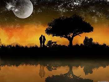 heart moments, yelloyish, nice HD wallpaper