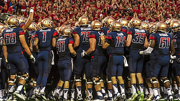 University of Arizona Wildcats HD wallpaper