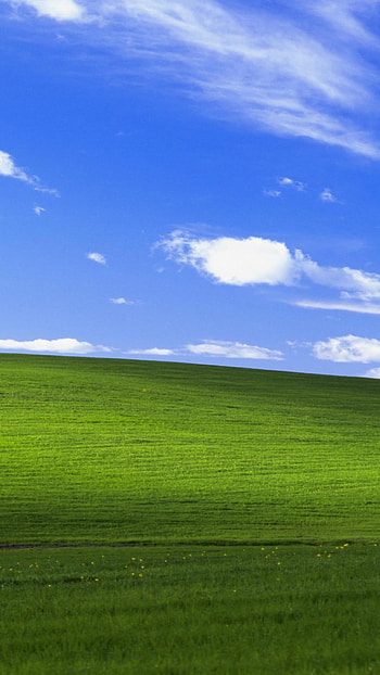 Windows XP bliss, Sony Xperia, XZ Z5 Premium HD phone wallpaper