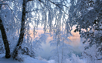 Landscape, Winter, Nature HD wallpaper