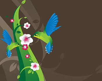 Hummingbird, abstract, flower HD wallpaper
