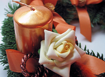 Holidays, Flower, Bud, Close-Up, Needles, Candle HD wallpaper
