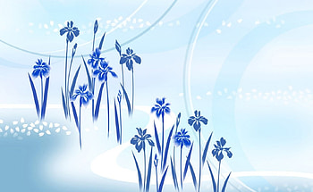 Blue orchid, blue, flowers HD wallpaper