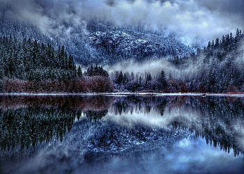 Winter, fog, mountains, forest, lake HD wallpaper