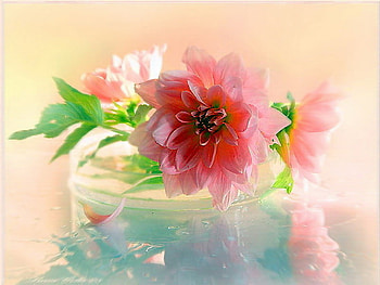 Blooms for friends that bridge the miles, blue, pink, white, leaves, gree, red, flowers HD wallpaper