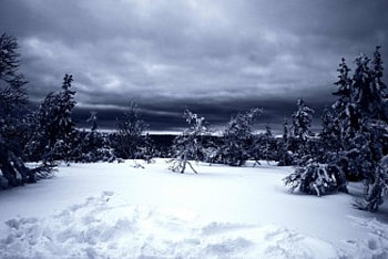 snow, scenery HD wallpaper