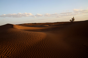 Desert, sand, sunset, sky HD wallpaper