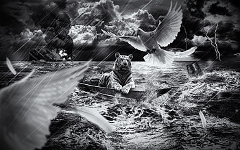 Abstract, Sky, Swimming, Shine, Light, Tiger, Boat HD wallpaper