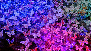 Butterfly Background, butterfly, artist, digital-art HD wallpaper