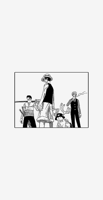 Luffy, Sanji, Anime, Zoro, One Piece, Chopper, Manga HD phone wallpaper