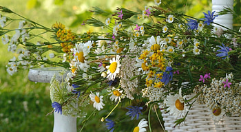 Spring Flowers, basket, garden, flowers, spring HD wallpaper