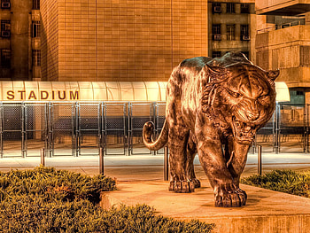 Cities, City, Tiger, Statue, Metal, r HD wallpaper