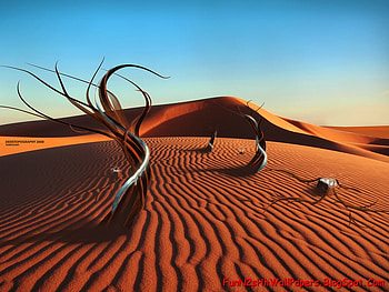 graphy, 3d HD wallpaper