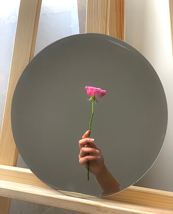 A hand holding a pink rose, reflected in a circular mirror against a wooden backdrop. HD phone wallpaper