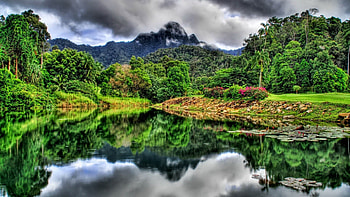 Forest Reflection, river, reflection, green, clouds, trees, nature, forest, mountain HD wallpaper