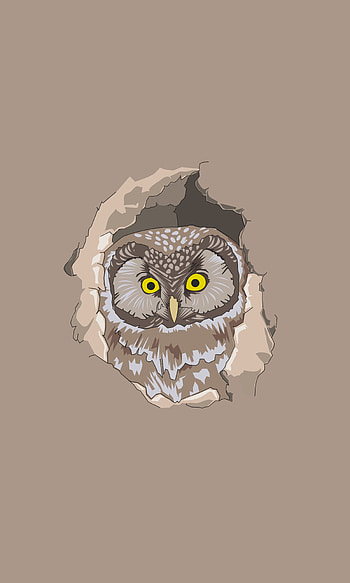 Art, Owl, Vector, Peek Out, Look Out HD phone wallpaper