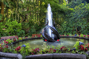 Nature, Fishes, Fountain, Vegetation, Garden, Benches HD wallpaper