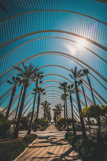 Nature, Architecture, Palms, Construction, Design, Tropics, Sunlight HD phone wallpaper