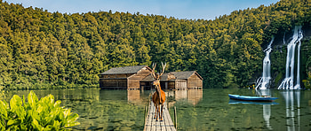 nature, Animal, deer HD wallpaper