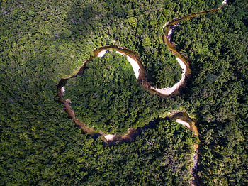 River, forest, nature, aerial view, trees HD wallpaper
