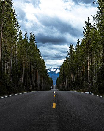 Nature, Mountain, Road, Forest, Asphalt HD phone wallpaper