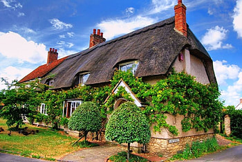 Nature's home, green, house, trees, thatch roof, vine covered HD wallpaper