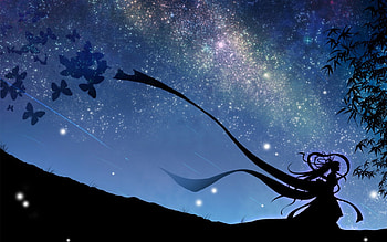 Hime-sama, night, awesome, landscape, stars, long hair, beauty, anime girl, butterflies, anime, lights, cool, sky, princess, female HD wallpaper