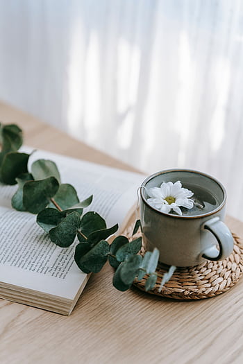 A serene morning scene with a cup of tea, open book, and eucalyptus leaves, creating a cozy atmosphere. HD phone wallpaper