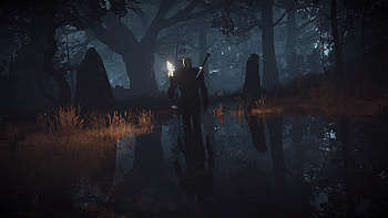 The Witcher 3: Wild Hunt — Swamp Night, video game, The Witcher 3: Wild Hunt HD wallpaper