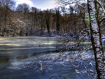 winter morning, winter, morning HD wallpaper