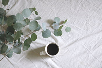 A soothing flat lay of black coffee with eucalyptus on a white linen background. HD wallpaper