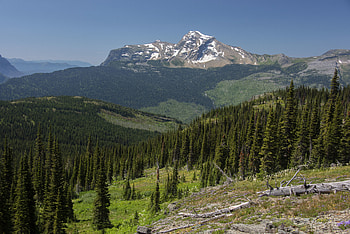 Nature, Trees, Mountains, Rocks, Forest, Snow Covered, Snowbound HD wallpaper