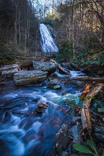 Nature, Rivers, Trees, Stones, Waterfall, Logs HD phone wallpaper