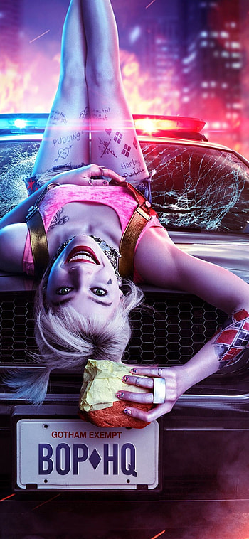 Birds of Prey, , Top , Backgrounds HD phone wallpaper